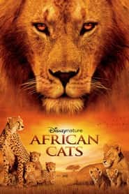 Afrika Kedileri – African Cats izle
